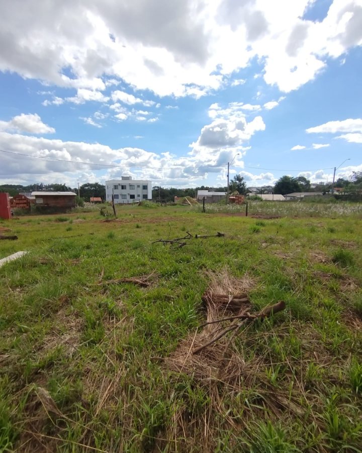 Terreno à Venda- São Francisco