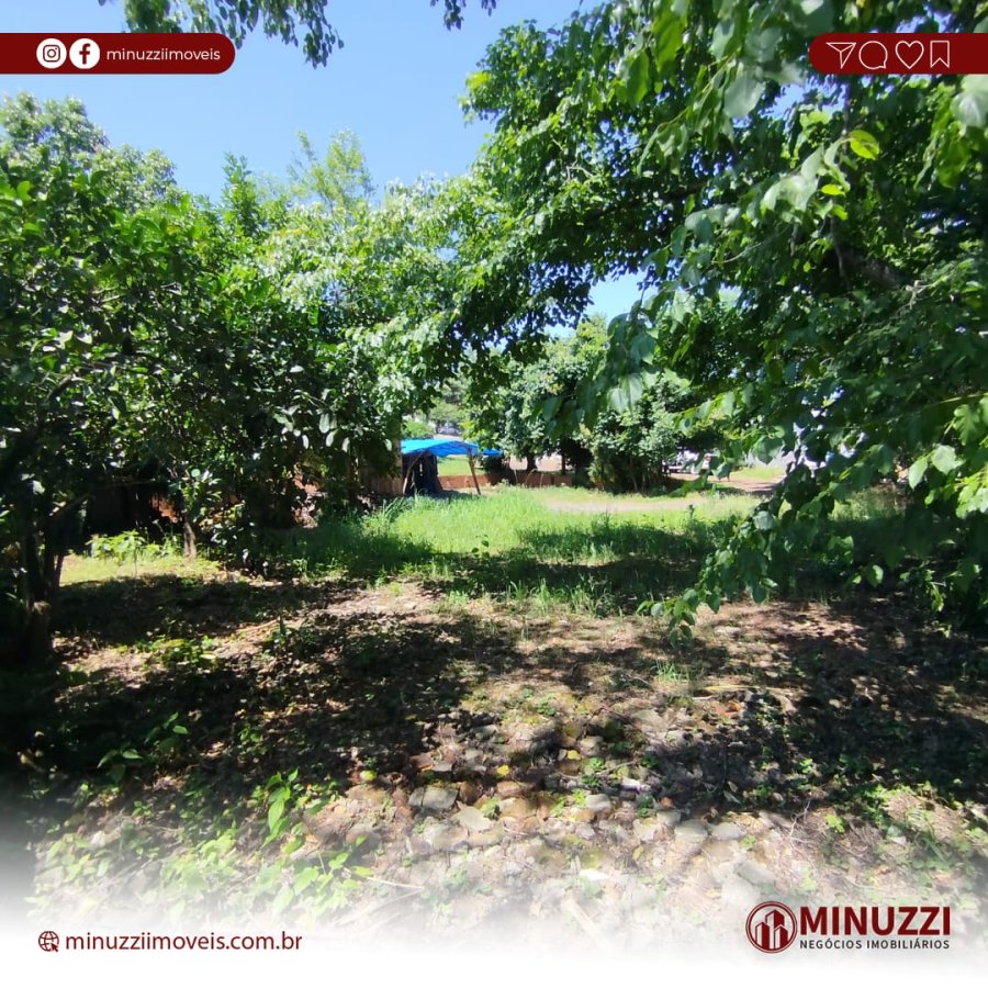 Terreno à Venda- Ouro Verde