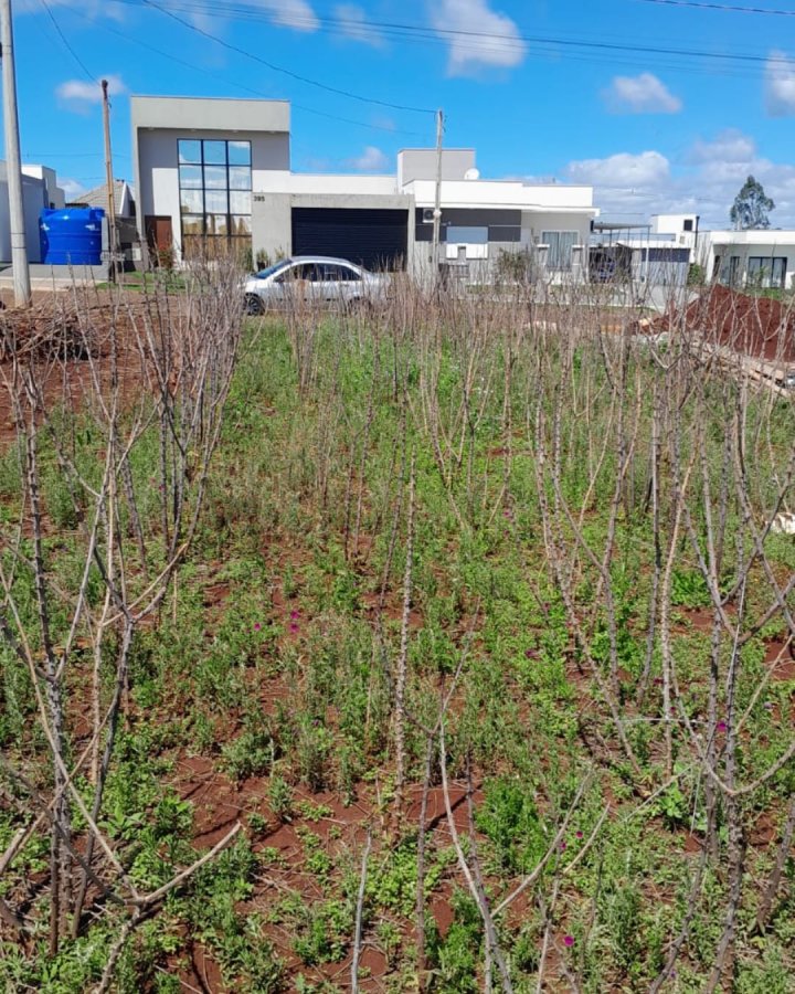 Terreno à Venda- Recanto Verde