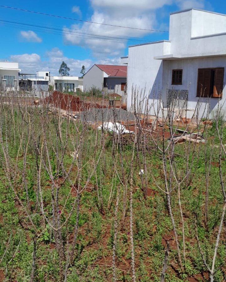 Terreno à Venda- Recanto Verde