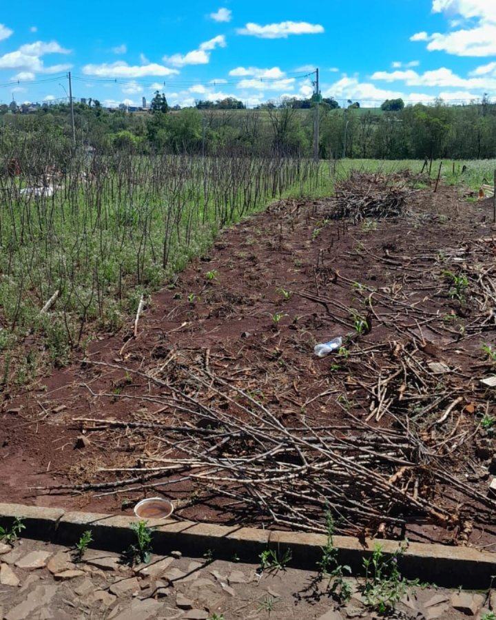 Terreno à Venda- Recanto Verde