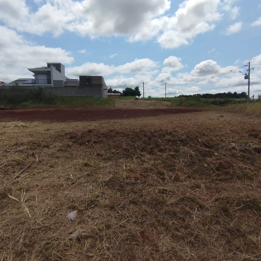 Terreno à Venda- Kunkel
