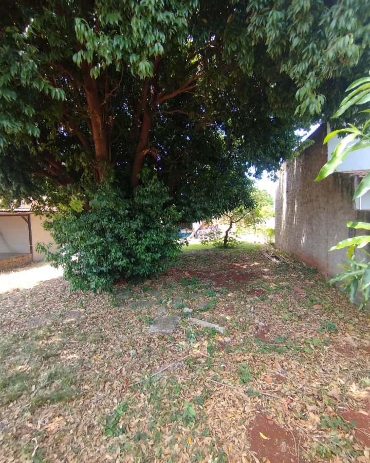 Terreno à Venda - Novo Horizonte (Glória)
