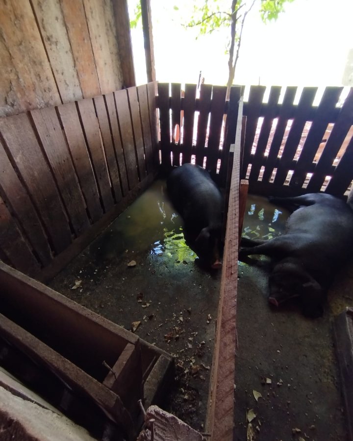 Área à Venda - Lajeado Bonito