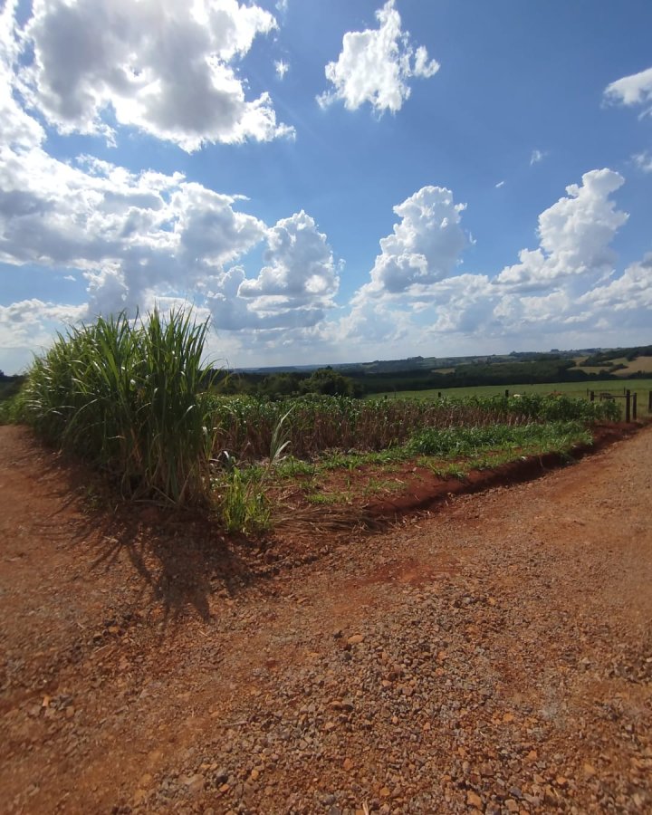 Área à Venda - Lajeado Bonito