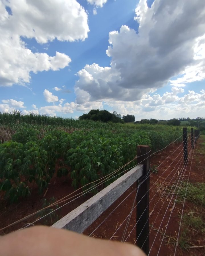 Área à Venda - Lajeado Bonito