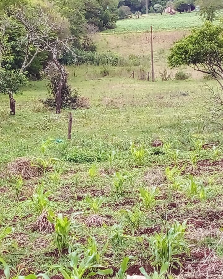 Sítio à Venda - Bela União (KM10)