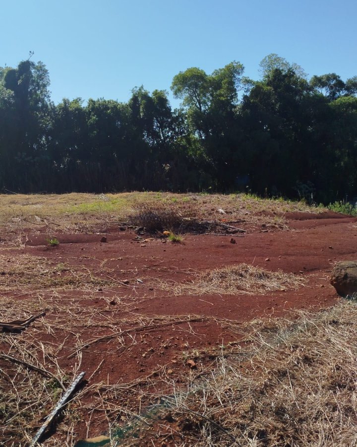 Terreno à Venda - Altamira (Próximo ao IFF)