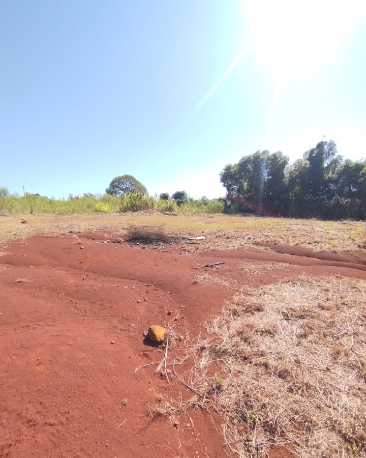 Terreno à Venda - Altamira (Próximo ao IFF)