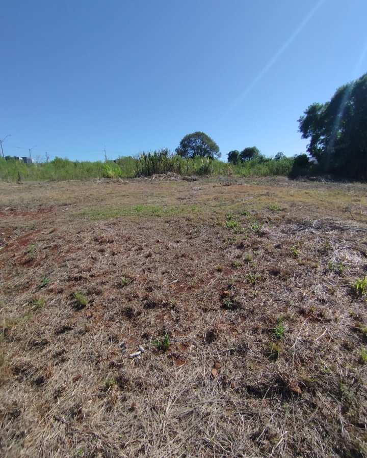Terreno à Venda - Altamira (Próximo ao IFF)