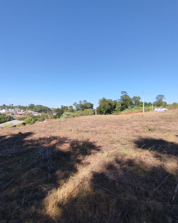 Terreno à Venda - Altamira (Próximo ao IFF)