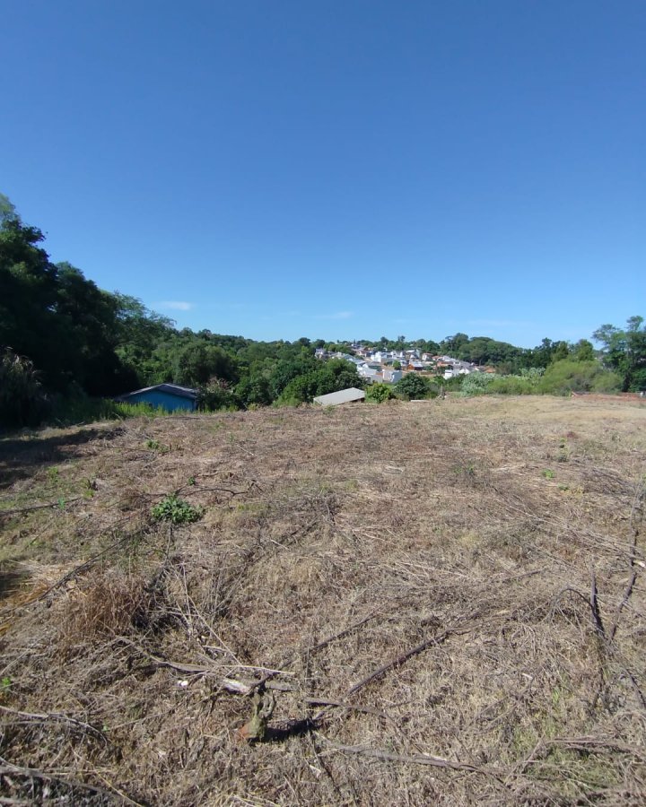 Terreno à Venda - Altamira (Próximo ao IFF)