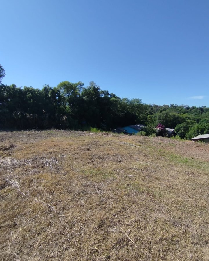 Terreno à Venda - Altamira (Próximo ao IFF)
