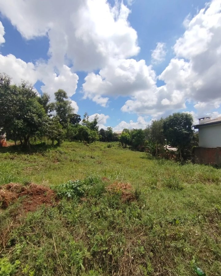 Terreno à Venda - Sulina