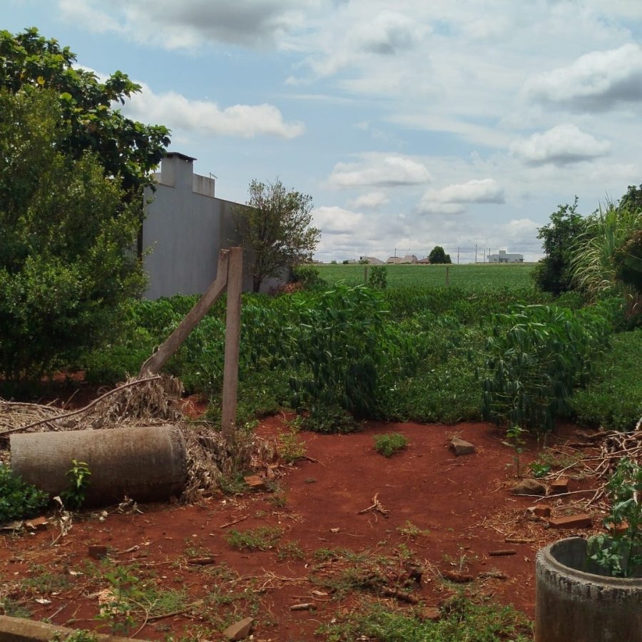 Terreno à Venda - Guia Lopes