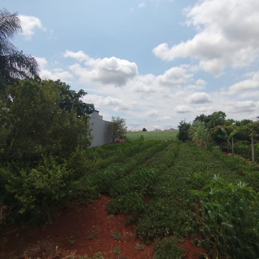 Terreno à Venda - Guia Lopes