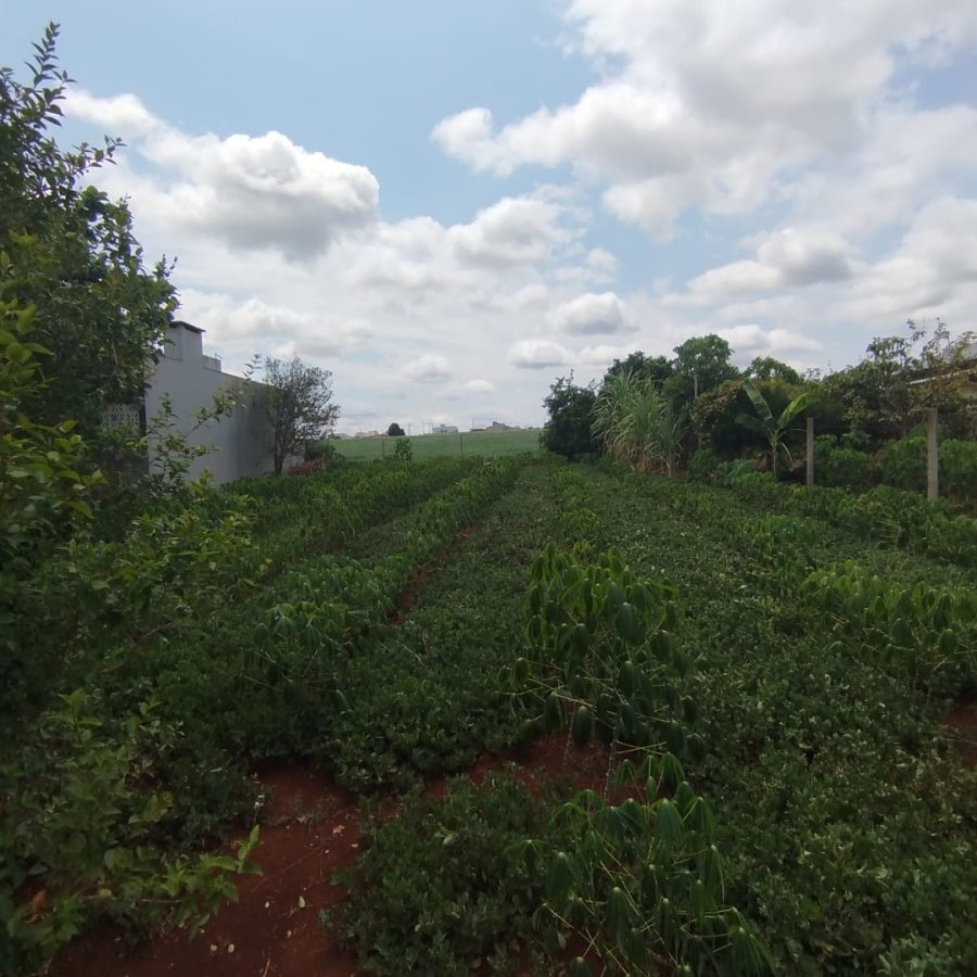 Terreno à Venda - Guia Lopes