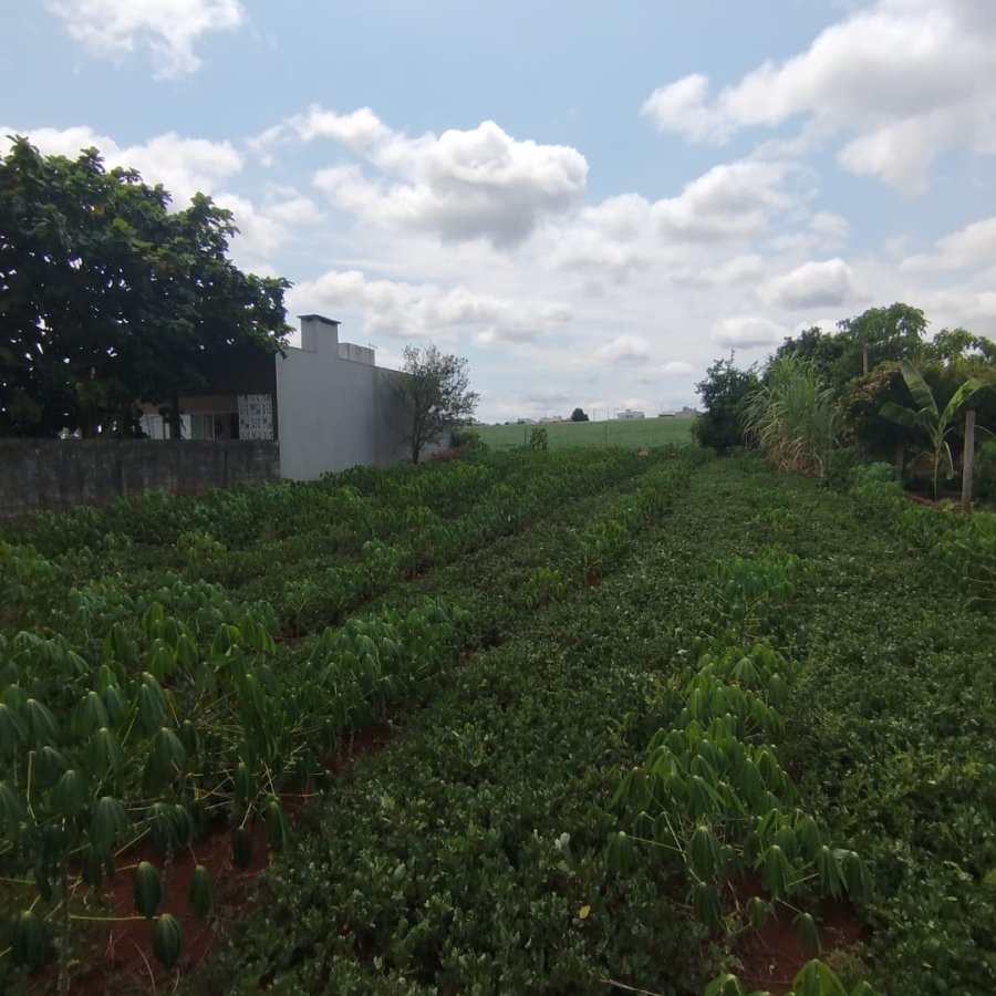 Terreno à Venda - Guia Lopes