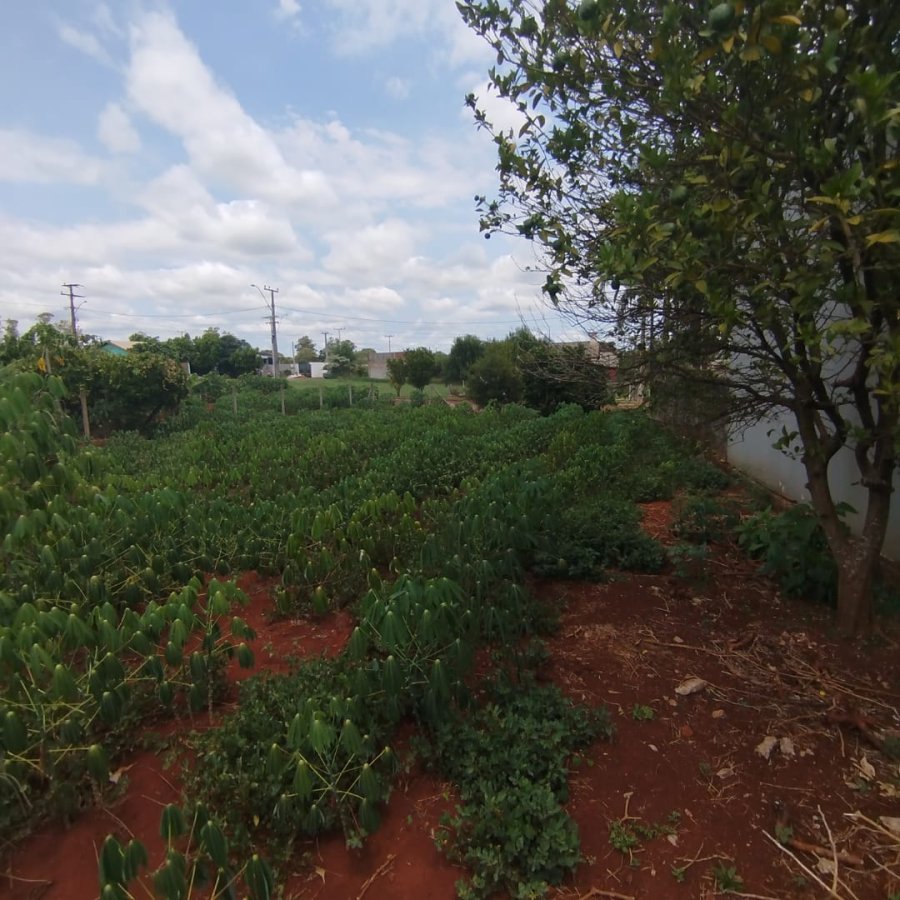 Terreno à Venda - Guia Lopes