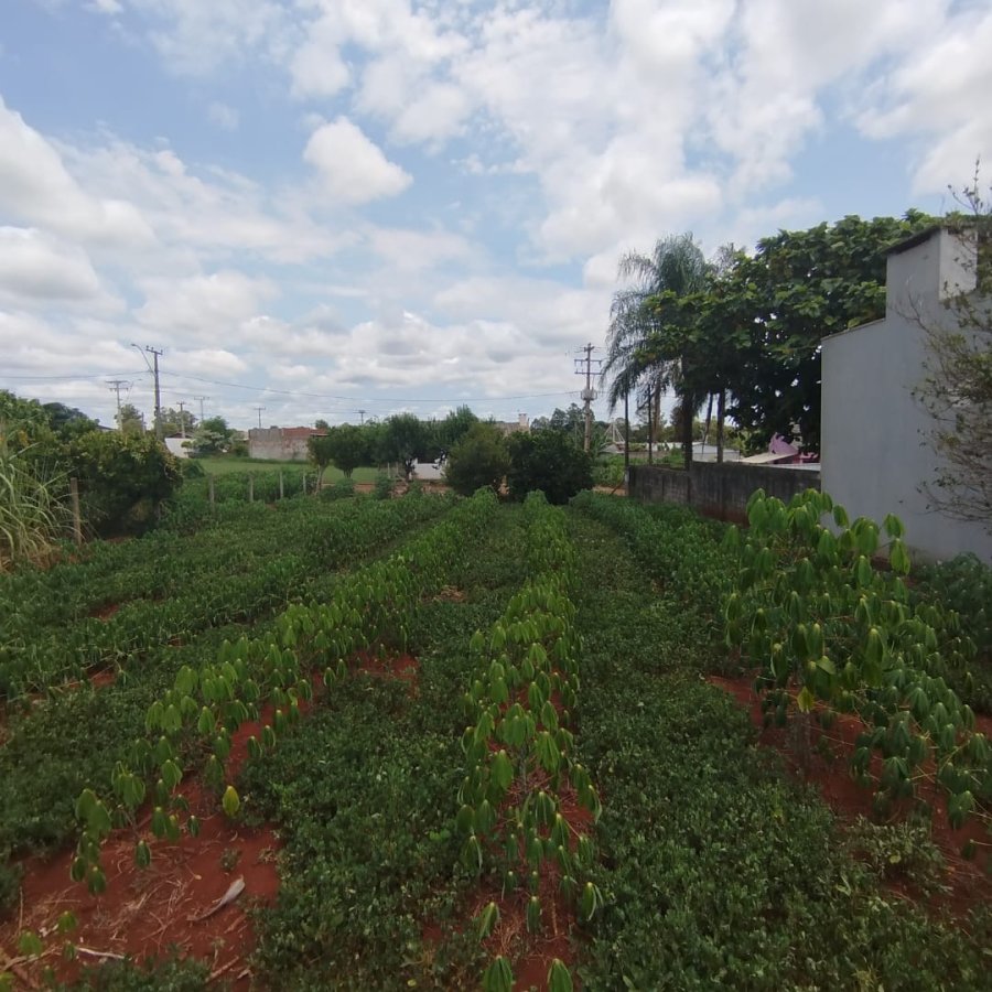 Terreno à Venda - Guia Lopes