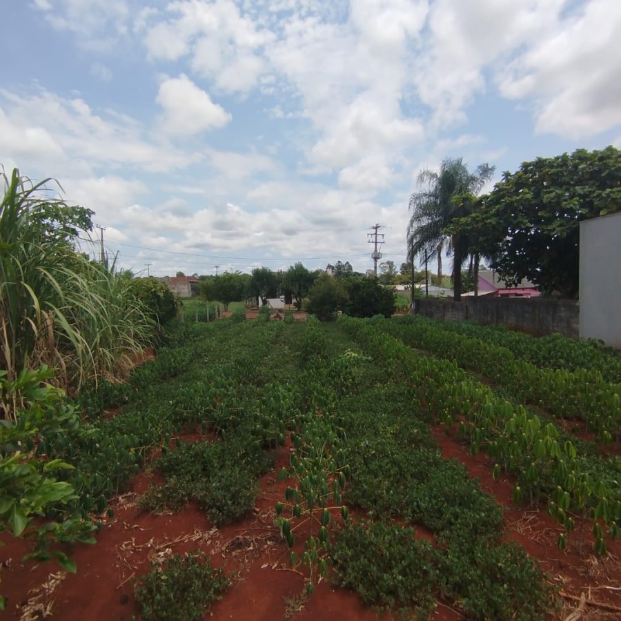 Terreno à Venda - Guia Lopes