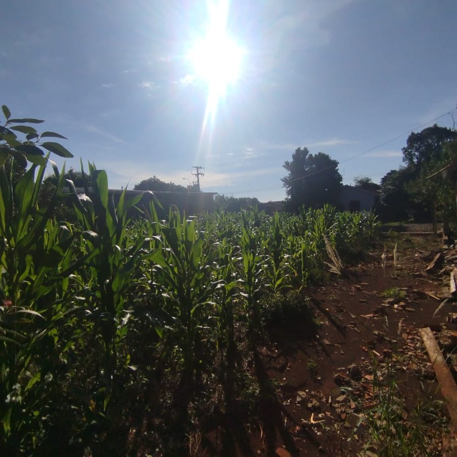 Terreno à Venda - Cruzeiro
