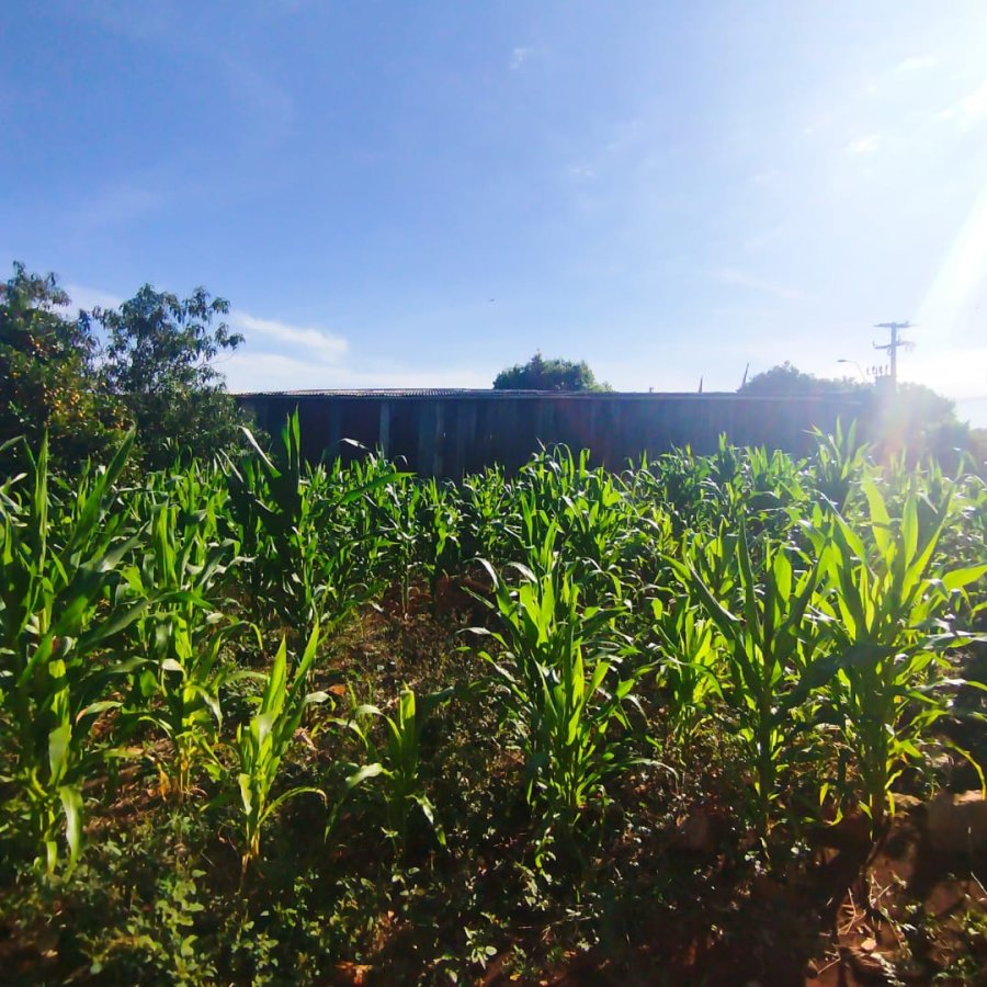 Terreno à Venda - Cruzeiro