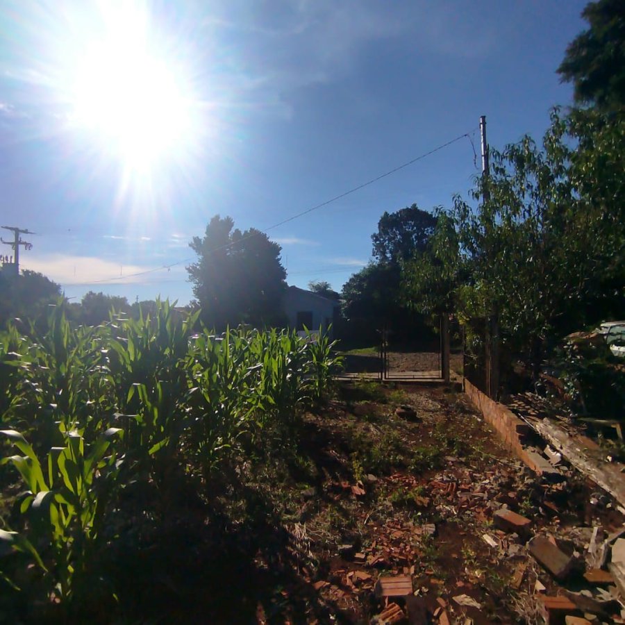 Terreno à Venda - Cruzeiro