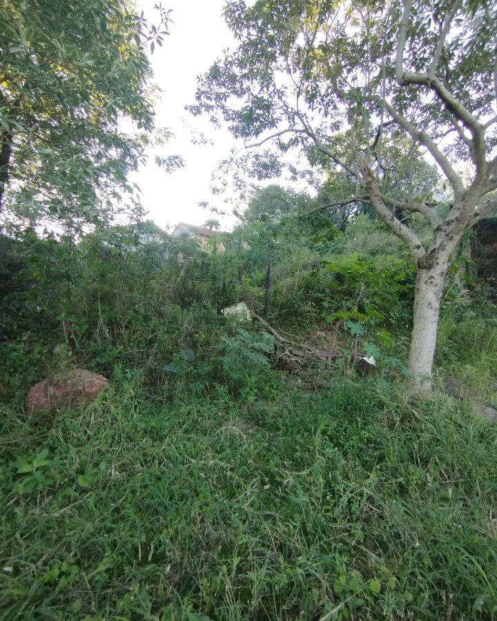 Terreno à Venda - Sulina