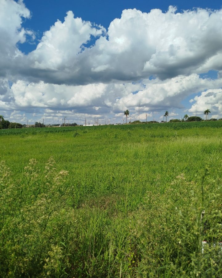 Terreno à Venda - Timbaúva