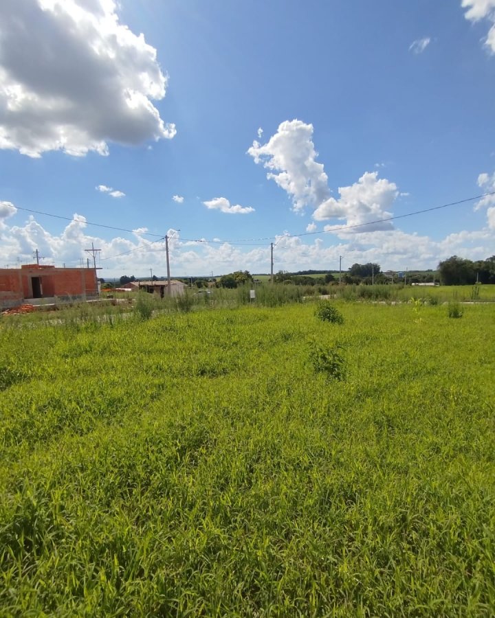 Terreno à Venda - Timbaúva