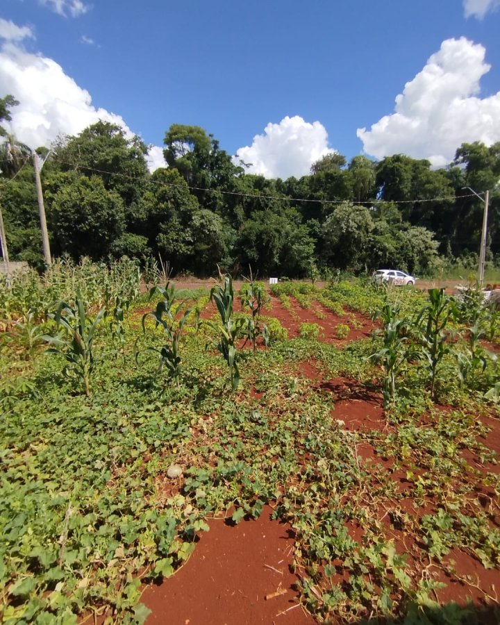 Terreno à Venda - Timbaúva