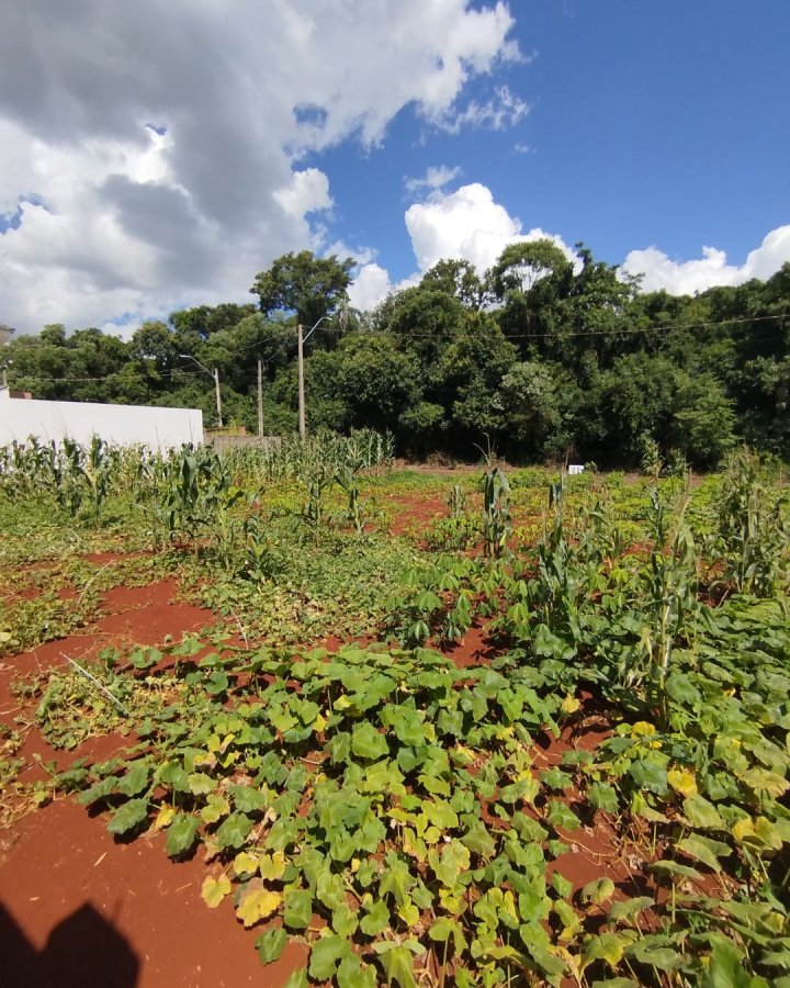Terreno à Venda - Timbaúva