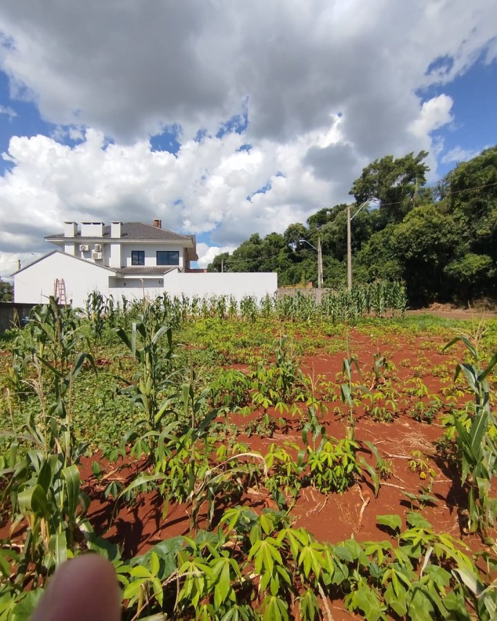 Terreno à Venda - Timbaúva