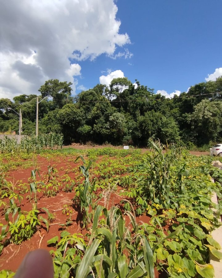 Terreno à Venda - Timbaúva