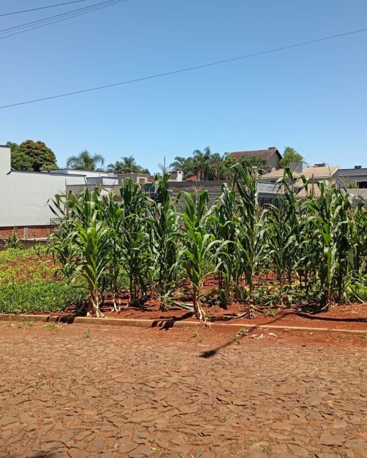Terreno à Venda - Timbaúva