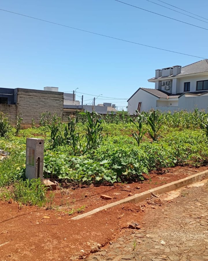 Terreno à Venda - Timbaúva