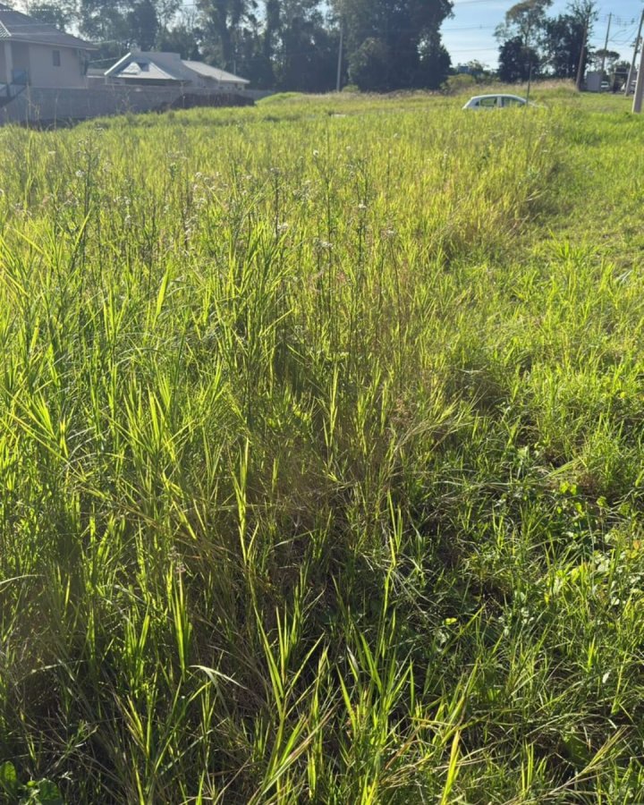 Terreno à Venda - Imperador (São Francisco)