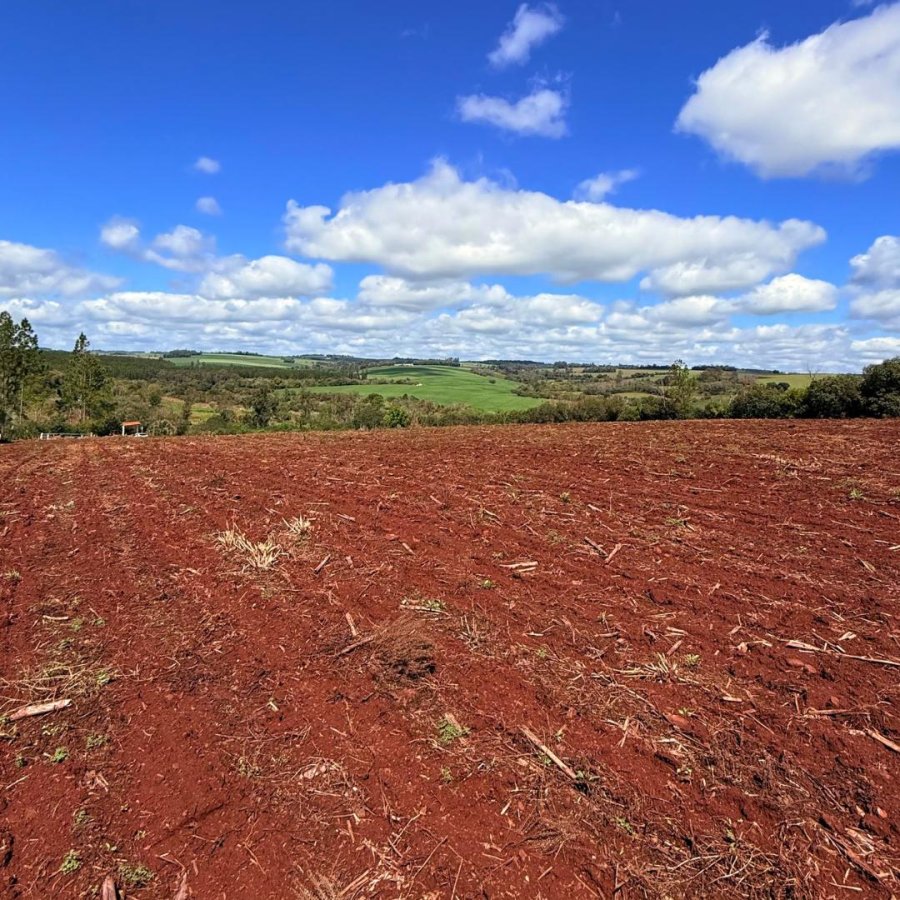 Sítio à Venda - Campo da Aviação