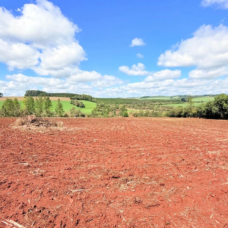 Sítio à Venda - Campo da Aviação