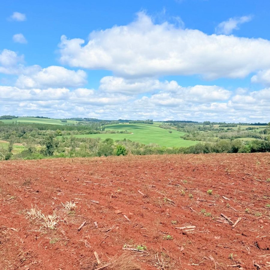 Sítio à Venda - Campo da Aviação