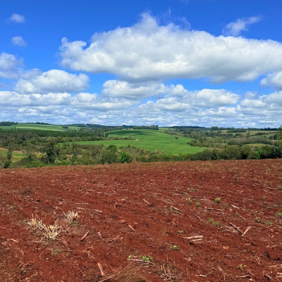 Sítio à Venda - Campo da Aviação