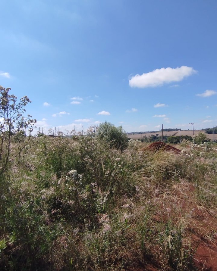 Terreno à Venda - Jardim América