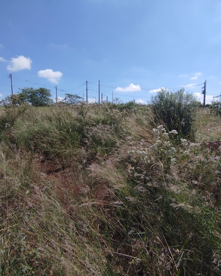 Terreno à Venda - Jardim América