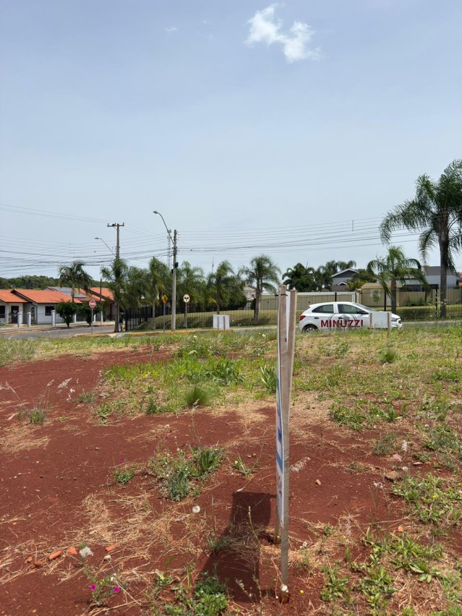 Terreno à Venda - Novo Horizonte (Glória)