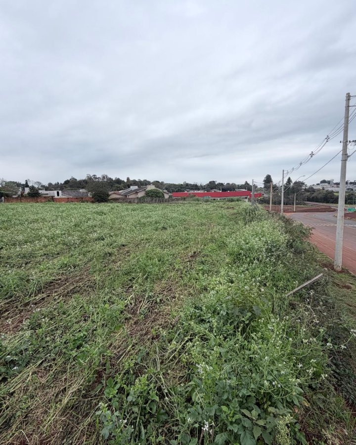 Terreno à Venda - Cruzeiro