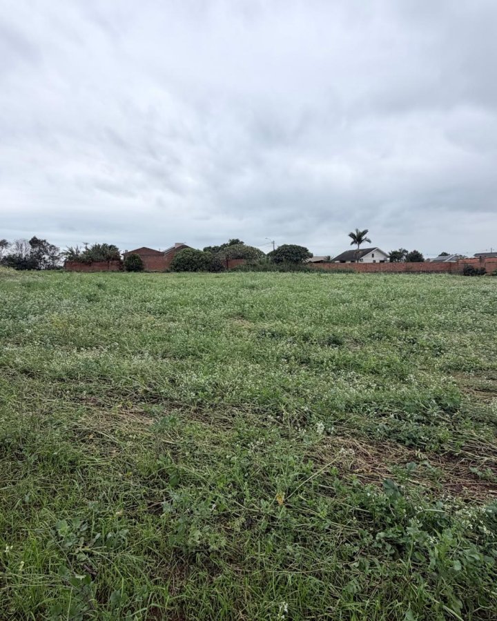 Terreno à Venda - Cruzeiro