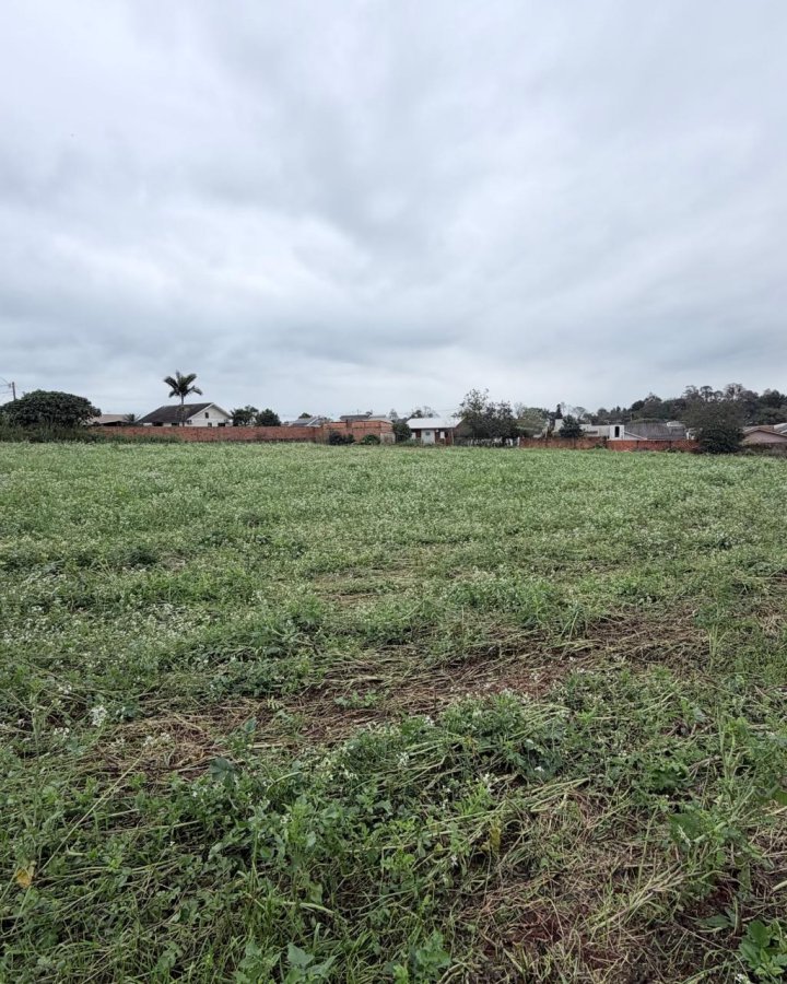 Terreno à Venda - Cruzeiro