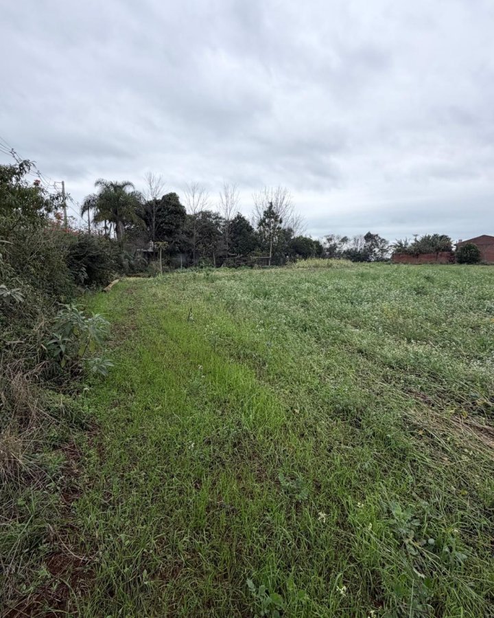 Terreno à Venda - Cruzeiro