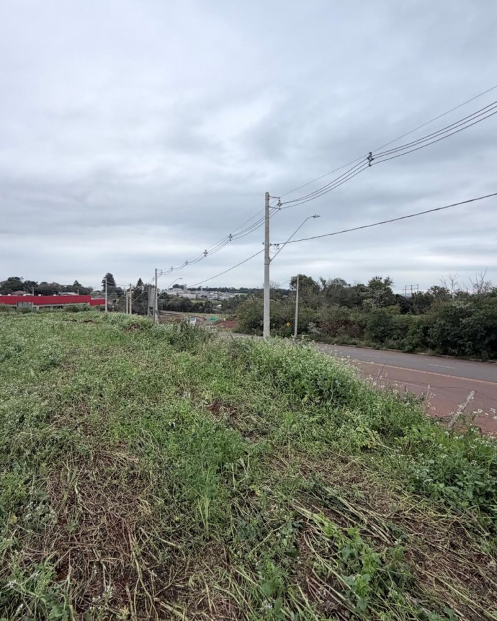 Terreno à Venda - Cruzeiro
